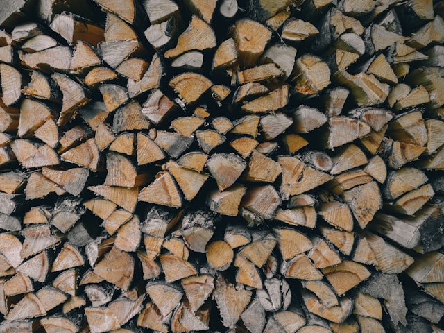 Kiln dried logs